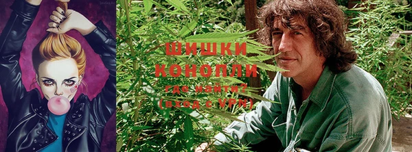 прущие крисы Армянск