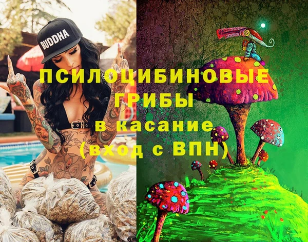 прущие крисы Армянск