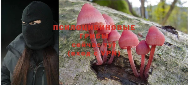 прущие крисы Армянск