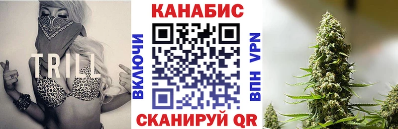 Каннабис сатива  Усмань 